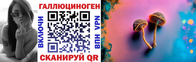 Псилоцибиновые грибы Psilocybe  mega ссылка  Ишимбай  купить  
